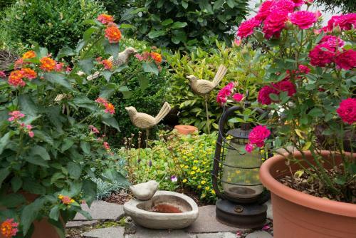 Apartamento Pension L�w