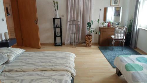 Hostal Pension Am Piko-platz