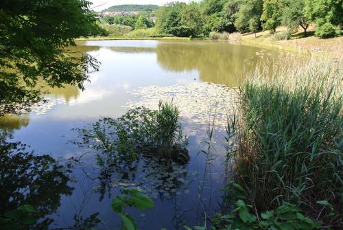 Apartamento Ferienwohnung Zur M�hle
