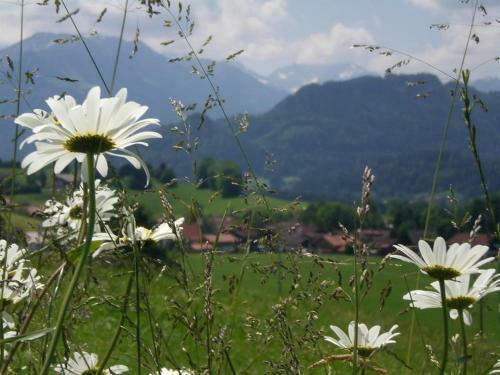 Apartamento Ferienwohnung Landhaus Martin