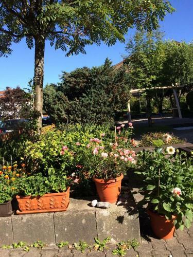 Apartamento Edelwei� Sonthofen