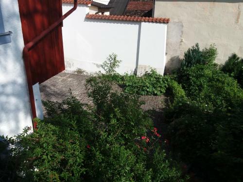 Apartamento Haus Forstamt