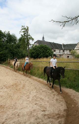 Apartamento Pferd - Spa� - Entspannung