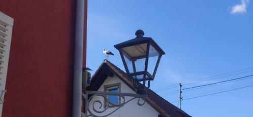 Apartamentos Ferienwohnung Belchenblick