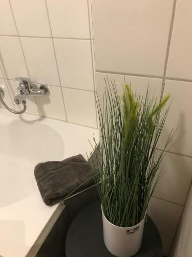 Apartamentos Ferienhaus An Der Rodach