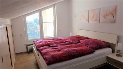 Apartamento Ferienwohnung Kaiserblick