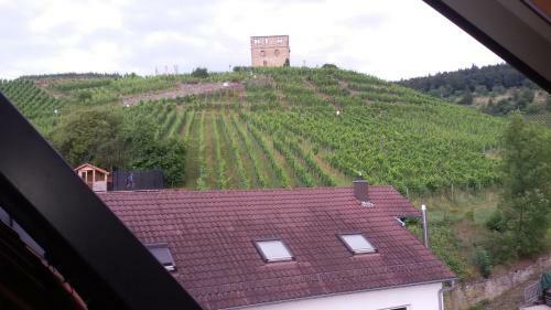 Apartamento Giebelzimmer Mit Weinbergblick