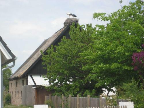 Apartamento Landhaus Am Haff Fewo A 12