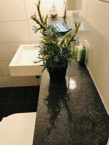 Messe Apartment K�ln West