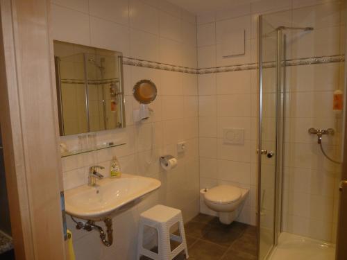 Hostal Alpina