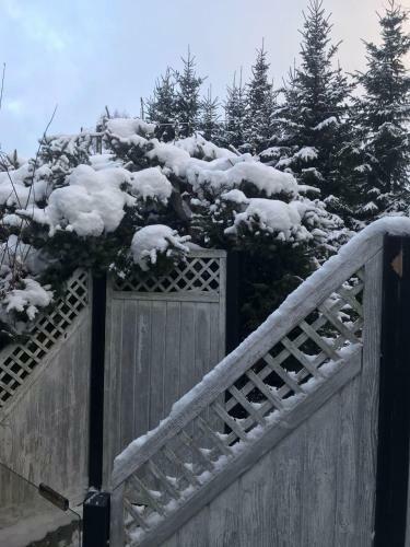 Sch�nwald Waldchalet Am Musenberg