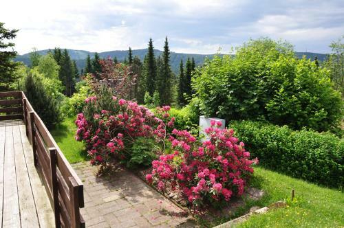Bungalow Im Th�ringer Wald/ Haus Selma