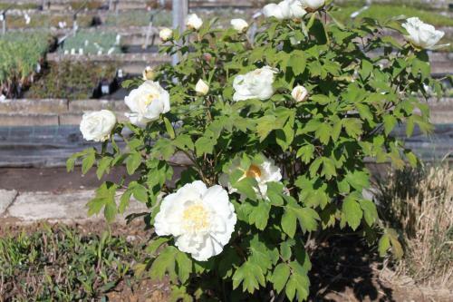 Apartamento Ferienwohnung Im Lenzengarten
