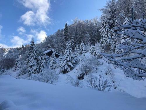 Apartamento Appartements Am Alpbach