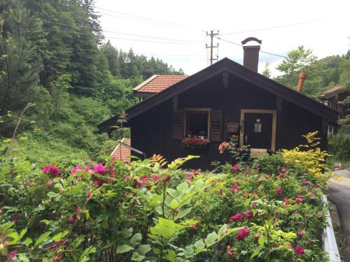 Apartamento Appartements Am Alpbach