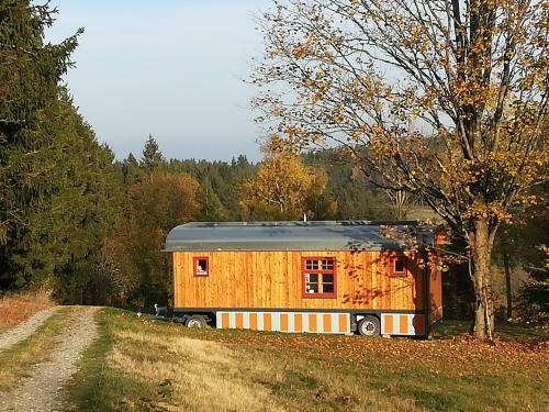 Benno Der Zirkuswagen