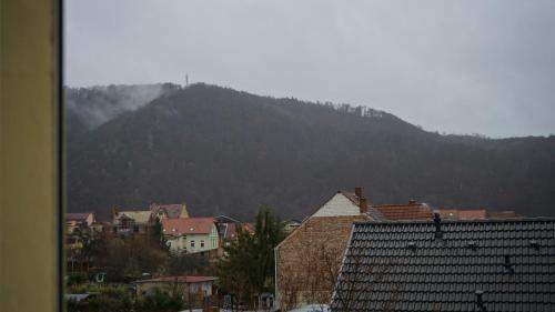Apartamento Pension Im Gl�ck Thale