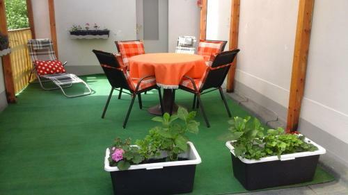 Apartamento Ferienwohnung Wicke