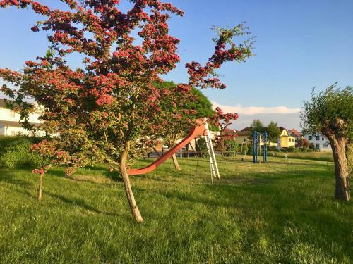 Apartamento Villa "windfl�chter"