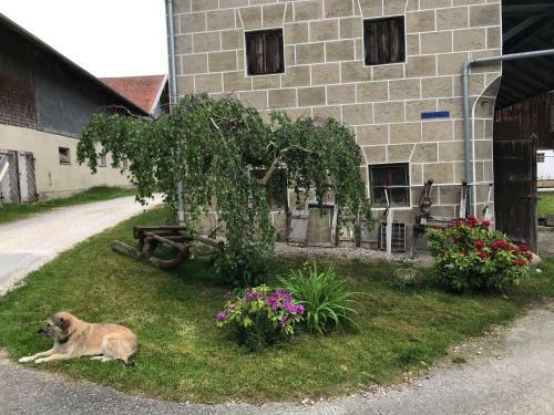 Apartamento Pferdehof-dietzsch