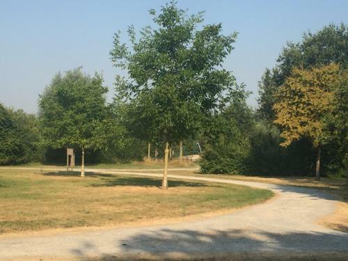 Apartment Am Park