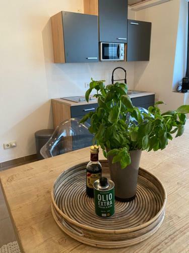 Apartamento Basement 77