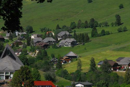 Apartamento Drei Tannen Und Ferienhaus Schneider
