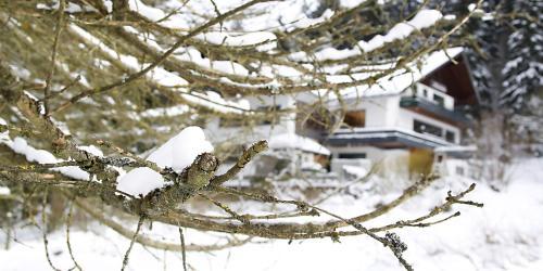 Hotel-pension Zum Paradies
