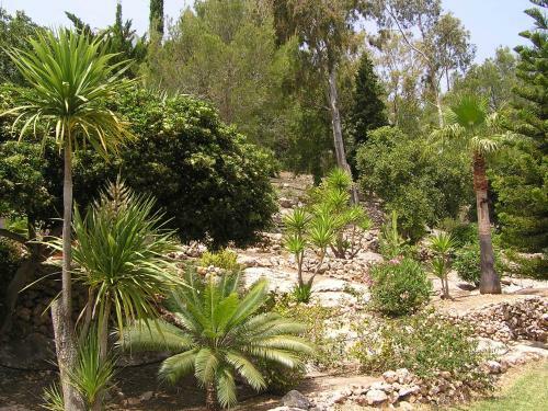 Villa Morera Bed & Breakfast