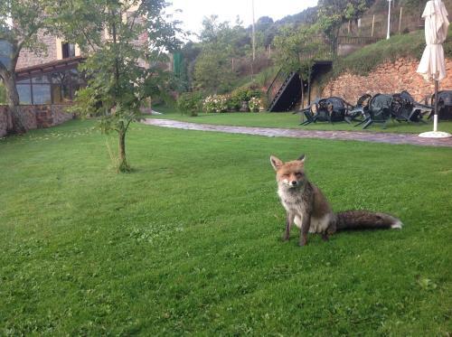 Hostal Rural La Calera