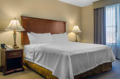 Hotel Homewood Suites By Hilton Covington