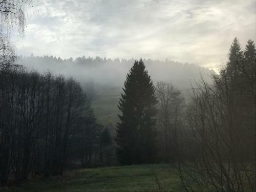 Apartamento Der Schmidthof