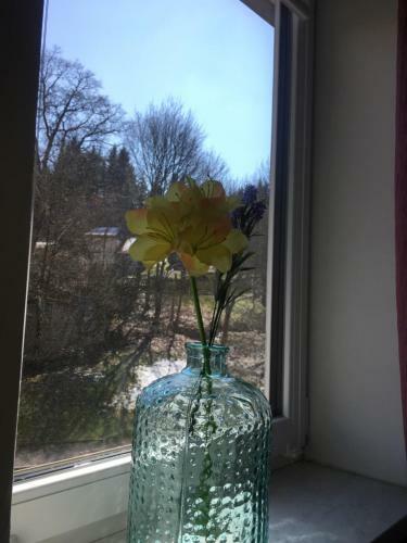 Apartamento Harz House