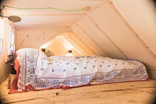 Tiny-haus Im S�dhessischen Ried