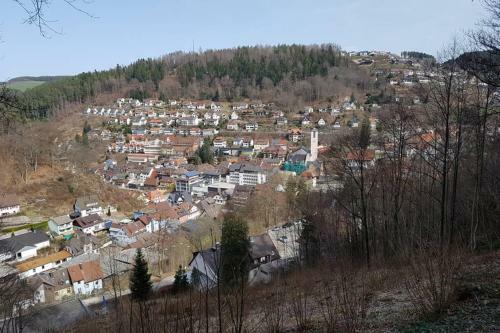 Apartamento 2 Rooms Appartment In Triberg