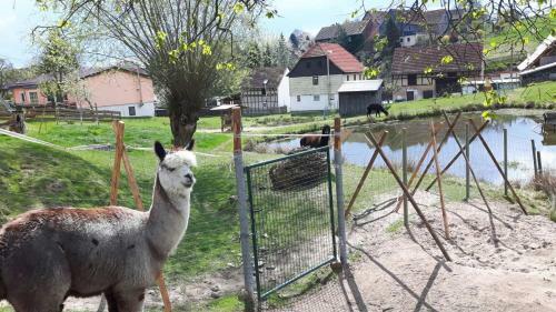 Apartamento Ferienhof "zum Waldblick"