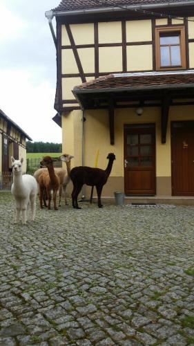 Apartamento Ferienhof "zum Waldblick"