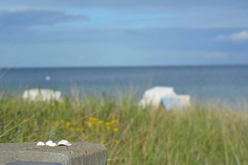Apartamento Forsthaus Wendt
