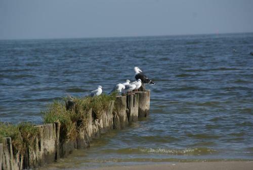 Apartamento Strandgut