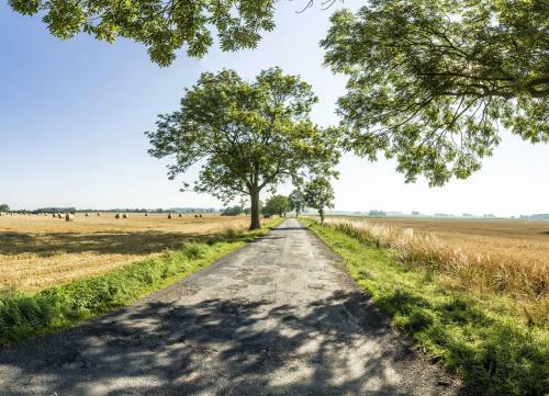 Ferienanlage �ckeritz Bungalow Gelb