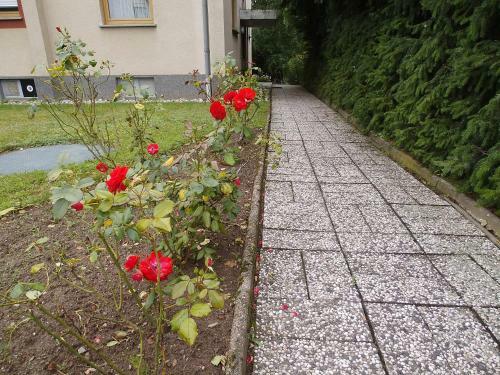 Ferienhaus M�ller