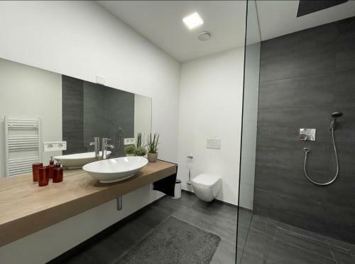 Modernes Apartment Mit Wunderschonem Rheinblick