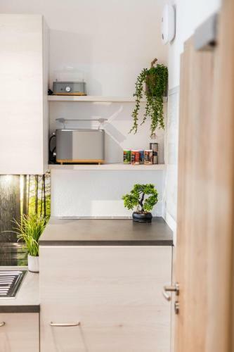 Apartamento G�llner Hof