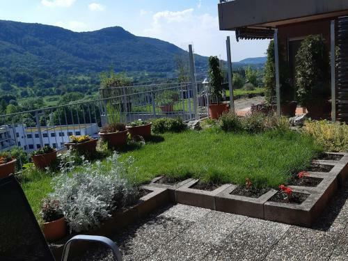 Apartamento Ferienwohnung Panoramablick