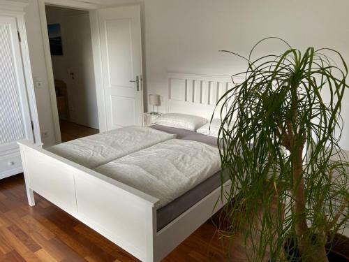 Apartamento Ferienwohnung Schneider&graf
