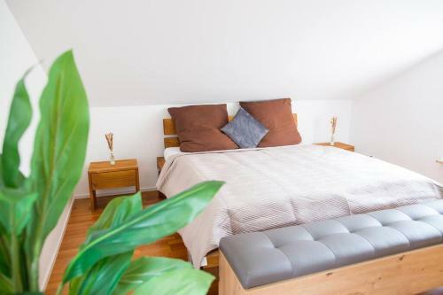 3 Kingdoms Apt (Orient, Snow, Switzerland 4you