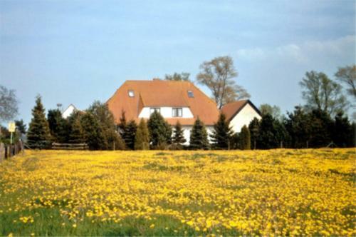 Agroturismo Ruegen_fewo 155