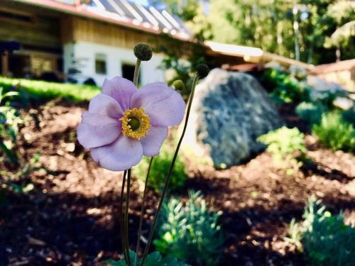Chalet D�rrfeld *****
