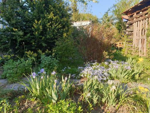 Apartamento Unser Obervolkacher Ferienhaus-einfach Gem�tlich!