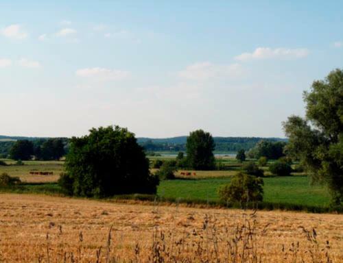 Apartamento Wohnung In Vollrathsruhe